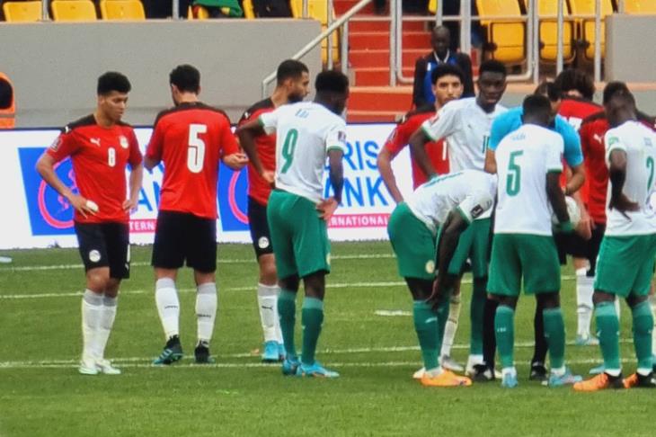 مصر - السنغال